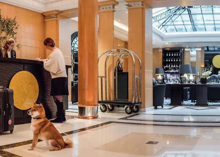 Hyatt Madeleine Hotel 5*